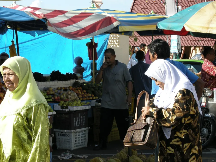 malaysia tours — up close
