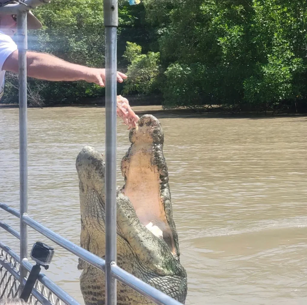 Conservation and the Future of Crocodiles