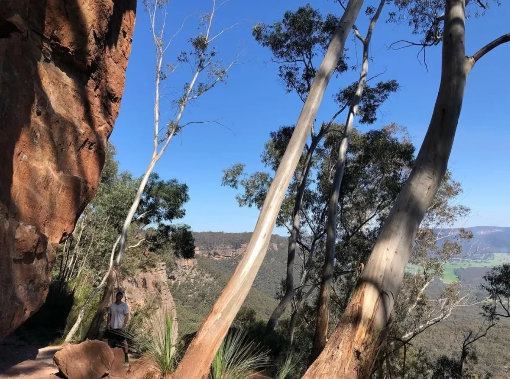 Mitchells Ridge Lookout