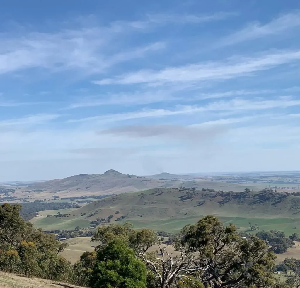 One Tree Hill Lookout