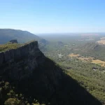 Spectacular Wildflower Spots in the Grampians to Visit in Spring